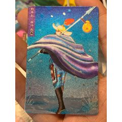 小浣熊水滸卡硬面林沖(au44840044)