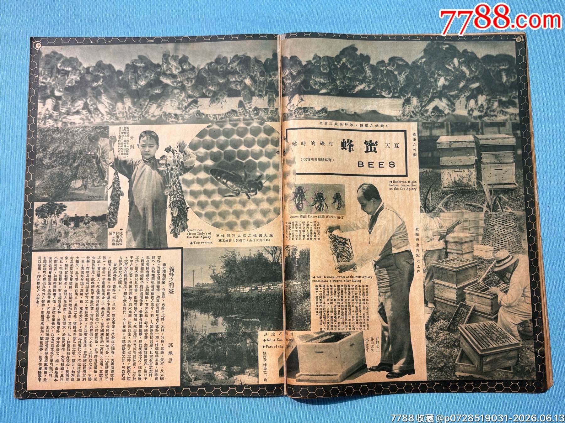 1934年《大眾畫(huà)報(bào)》第九期1本，內(nèi)有黃埔軍校十周年紀(jì)念圖片_價(jià)格1320元_第8張_