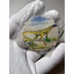 小浣熊恐龍風(fēng)暴花邊卡原袋波浪卡(au43738433)