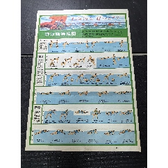 發(fā)展體育運動增強人民體質(zhì)，72年人民國家體育運動會，對開，南充師范存儲