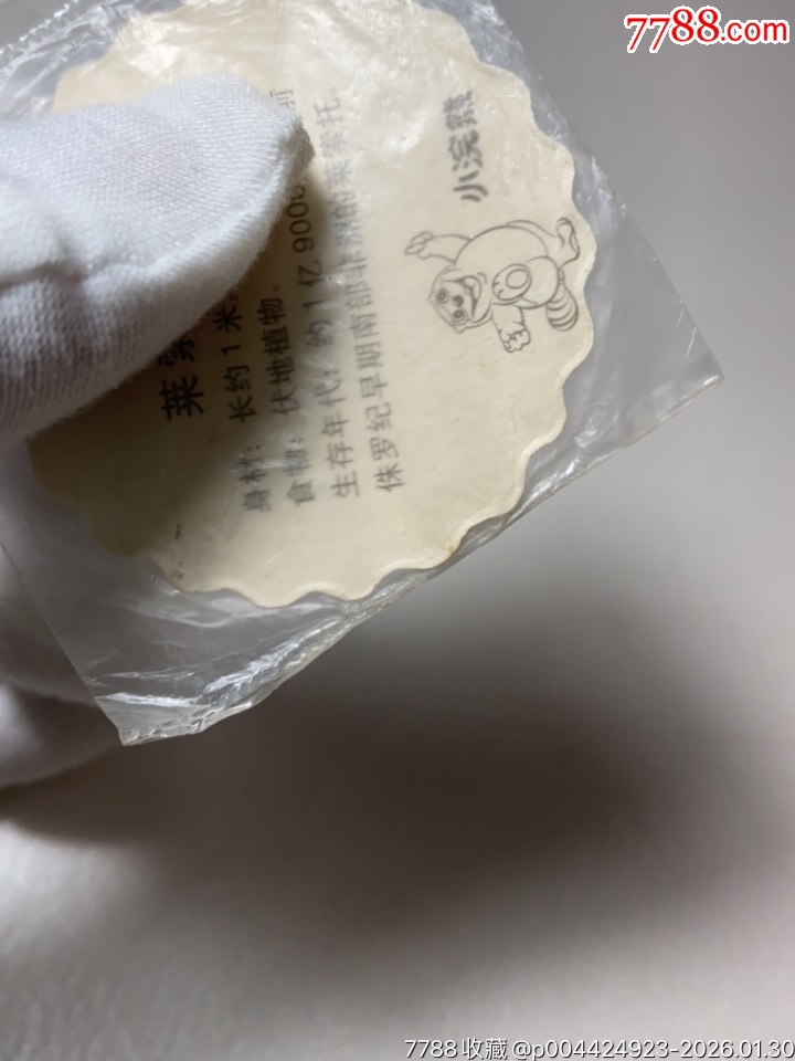 小浣熊恐龍風(fēng)暴花邊卡原袋波浪卡_價格184元_第12張_