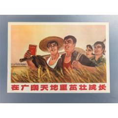 知青題材：在大廣闊天地里茁壯成長