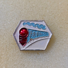 革命串聯(lián)會(huì)