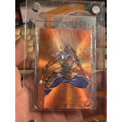 小浣熊水滸卡大袋子丁得孫