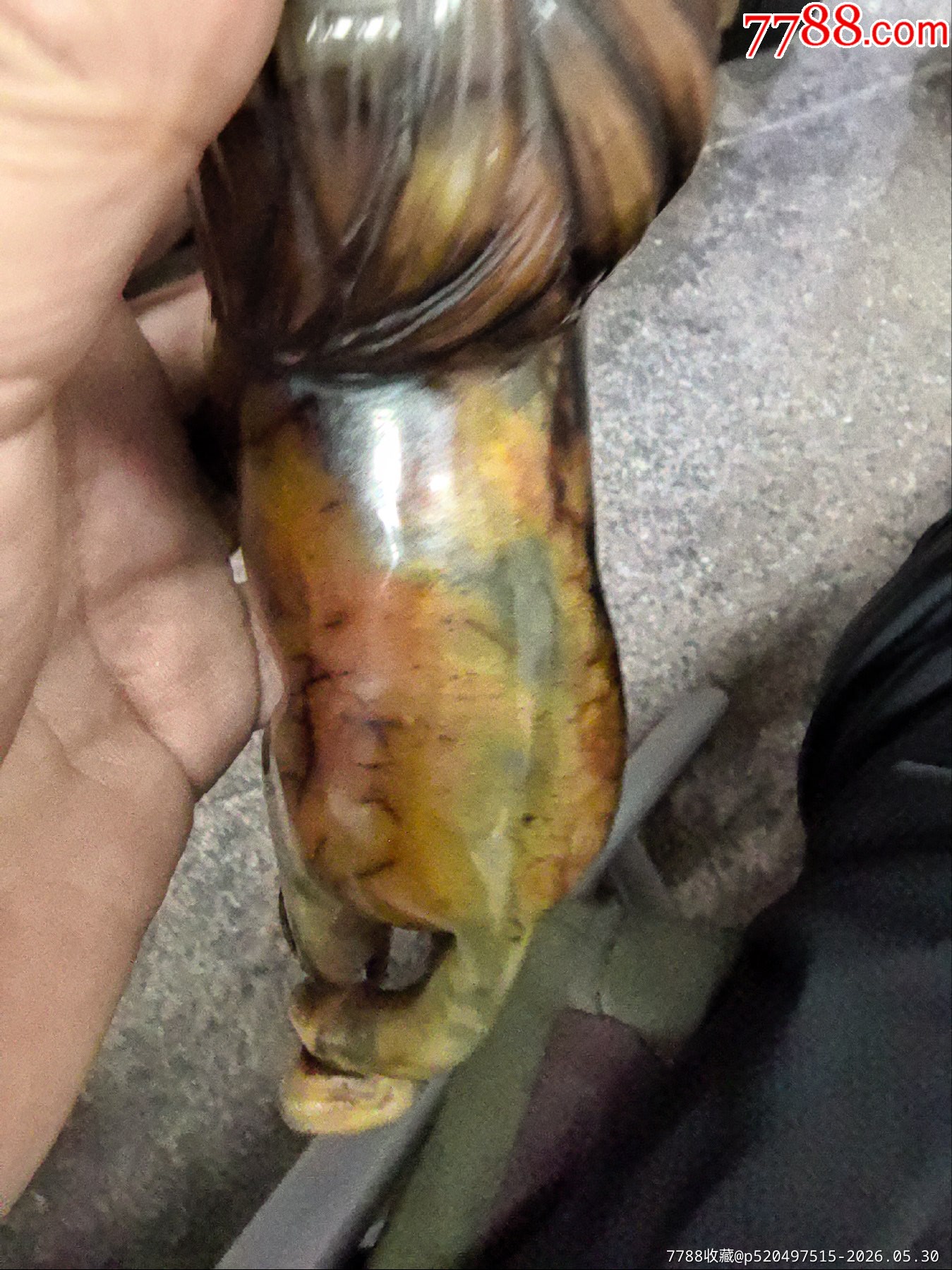 玉獅_價格20元_第6張_