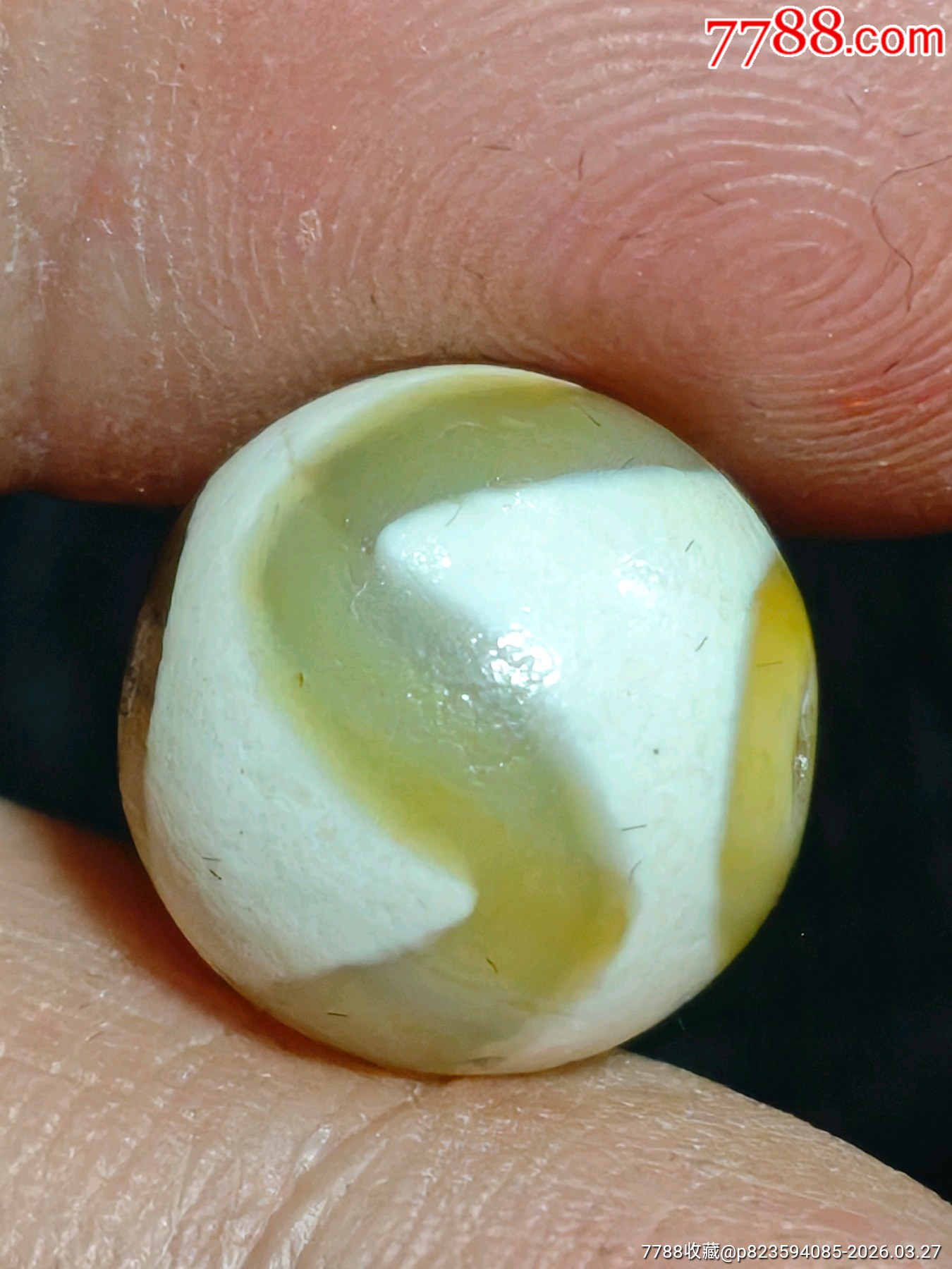 白皮黃肉虎牙天珠_價格16元_第3張_