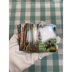 小浣熊昆山隋唐卡（昆隋）一套(au44718438)