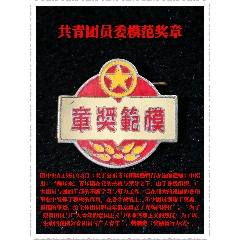 共青團(tuán)員委模范獎(jiǎng)?wù)?zc44395607)