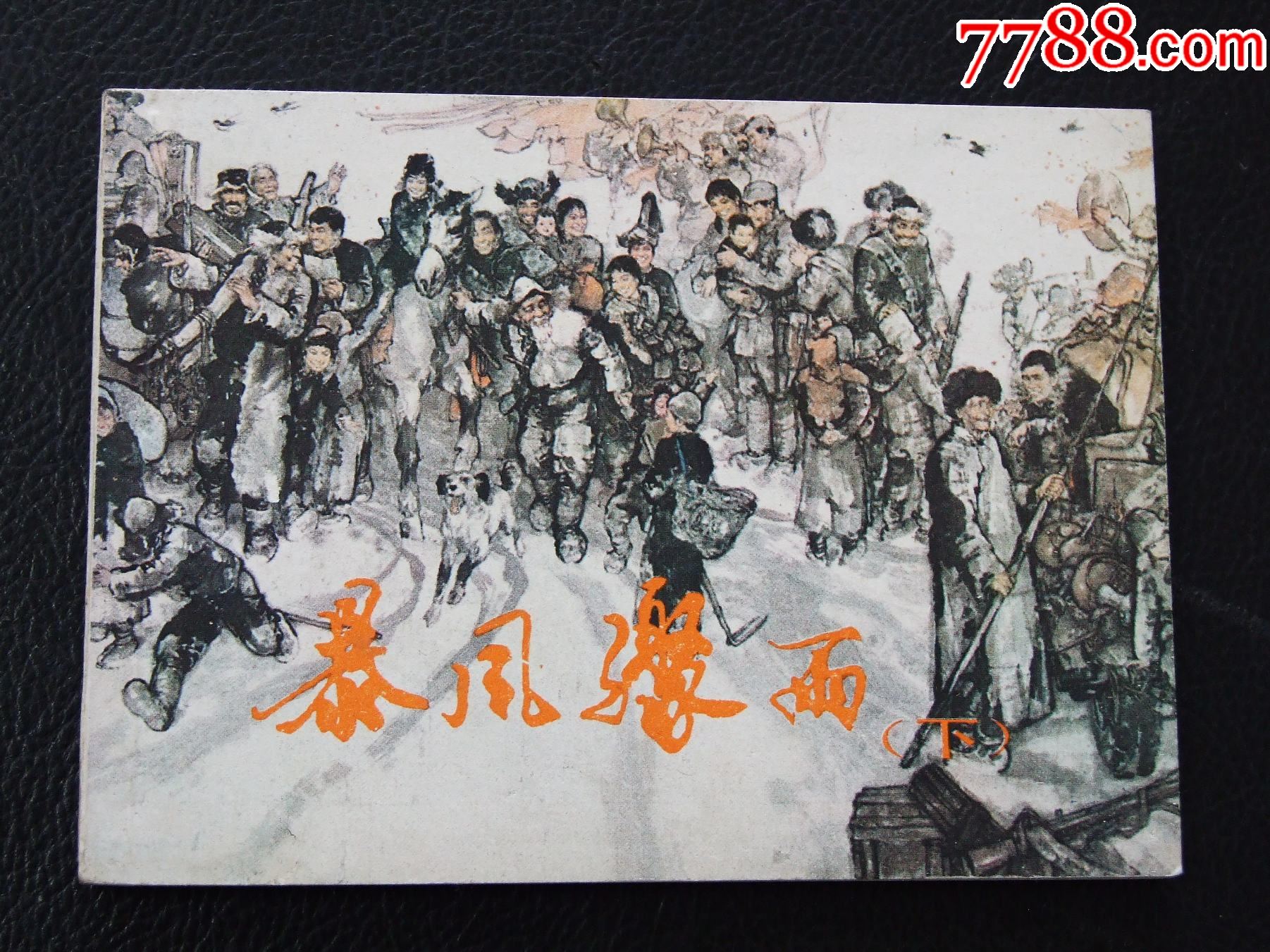 暴風(fēng)驟雨下（一版一?。◣?kù)存書(shū)）（施大畏）（發(fā)貨說(shuō)明請(qǐng)看公告）_價(jià)格134元_第1張_