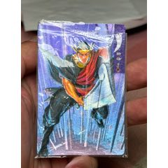 小浣熊水滸卡軟閃楊雄