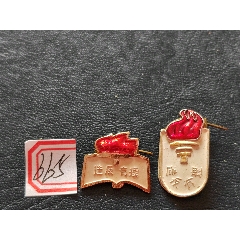 絕對(duì)少見(jiàn)的一對(duì)，背文更好