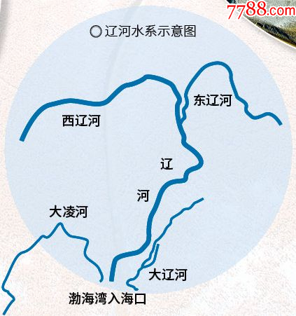 醬香大凌河30年陳釀_價(jià)格163元_第6張_