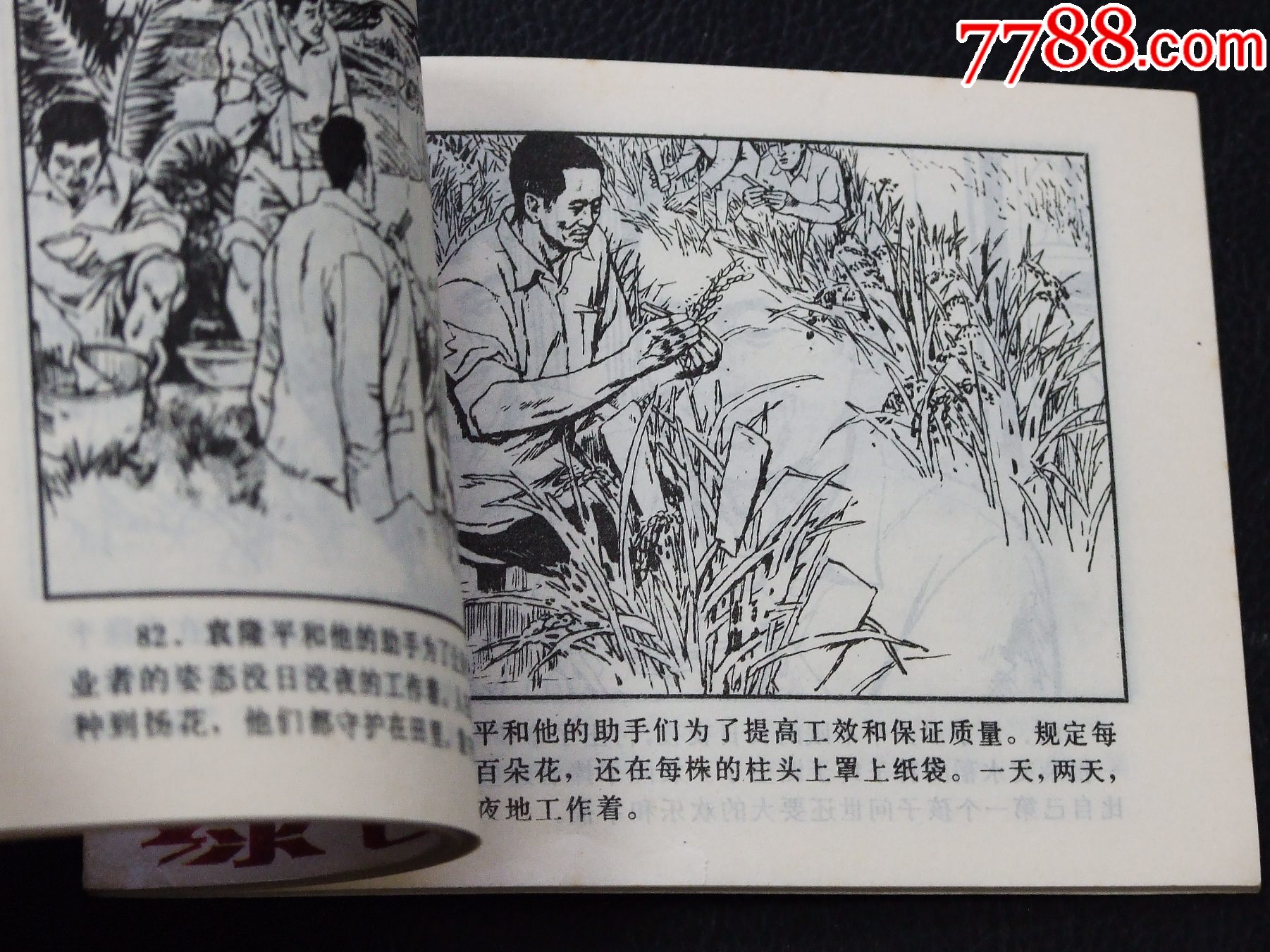 綠色的革命（一版一?。◣齑鏁?.3萬冊）（朝華畫庫）（發(fā)貨說明請看公告）_價格156元_第6張_
