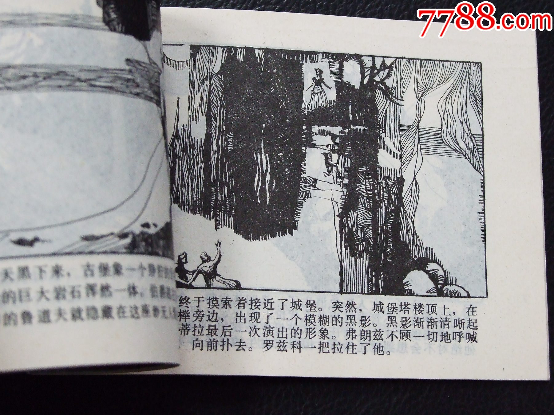 喀爾巴阡古堡（一版一?。◣齑鏁ǚ矤柤{）（發(fā)貨說明請看公告）_價格10元_第5張_