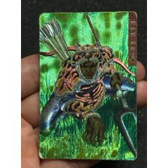 小浣熊水滸卡四川硬面解珍