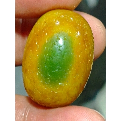 黃代綠大橄欖珠