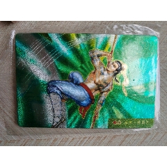 小浣熊水滸卡閃卡(au44733409)