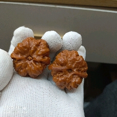盘玩变色的一对蛤蟆头，__【7788纪念币】