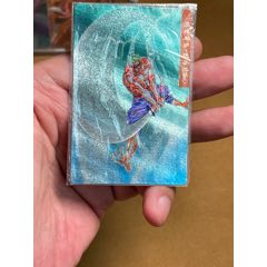 小浣熊水滸閃卡軟熱阮小二