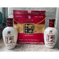 衡水老白干一對小馬駒