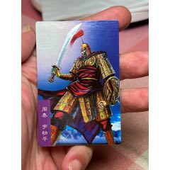 小浣熊三國卡昆閃周泰