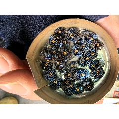 配件拍賣(mài)(au43766048)