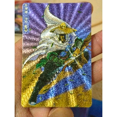 湖北暗黑大圓角全閃楊志